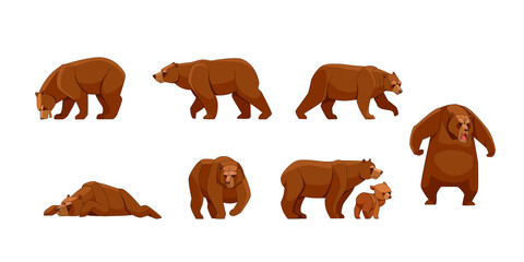 Set of large brown bear in different poses looking, running, walking, sleeping, attack. Wild forest creature different poses. Vector flat cartoon character of big mammal animal illustrations isolated