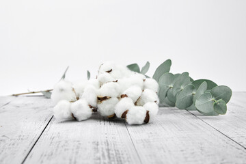 Cotton flowers and green eucalyptus twig on grey wooden table