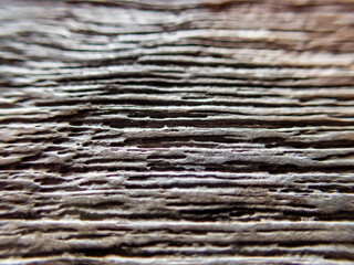 selective focus texture old wooden table, beautiful pattern, brown Background image for designing to insert text.
