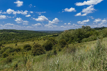 Beautiful landscape with fields and green vegetation under a blue sky with white cumulus clouds in the countryside. Rural landscape with green fields and sparsely wooded areas in summer.