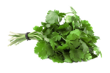Fototapeta premium Bunch of fresh green organic cilantro isolated on white