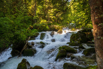 Obraz premium a strong flow in a mountain creek with melting water from the alps in summer