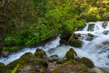 a strong flow in a mountain creek with melting water from the alps in summer
