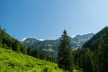 Fototapeta na wymiar beautiful panoramic view in the mountains the hohe tauern national park in austria at a sunny summer day