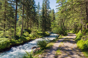 Fototapeta na wymiar a mountain creek with melting water in the hohe tauern national park in austria, salzburg, at a sunny summer day at a forest way