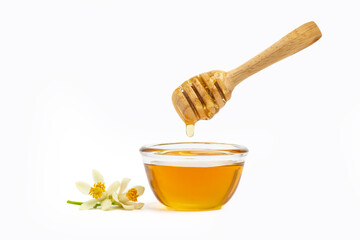 Honey in bowl with wooden honey dipper isolated on white background. Healthy organic, natural food, ingredient. Beekeeping product.