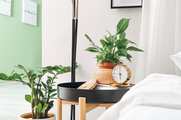 Stylish alarm clock and houseplant on table in bedroom