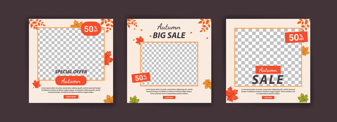 Autumn sale. Autumn big sale. Autumn mega sale. Banner vector for social media ads, web ads, business messages, discount flyers and big sale banners.