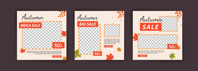 Autumn sale. Autumn big sale. Autumn mega sale. Banner vector for social media ads, web ads, business messages, discount flyers and big sale banners.
