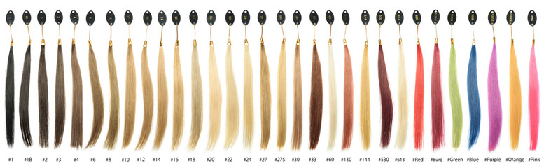 Hair base color palette, hair samples chart, make of human hair - obrazy, fototapety, plakaty