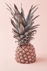 Tropical pineapple fruit on a pink background with a copy space.