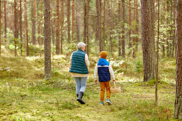 mushroom picking season, leisure and people concept - grandmother and grandson with baskets walking in forest
