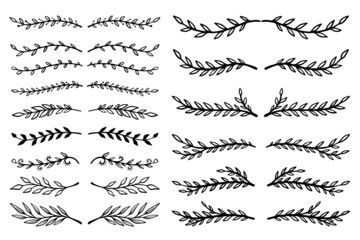 Set of hand drawn floral branches. Floral text dividers. Design element for greeting card, t shirt, poster. Vector illustration