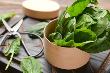 Box with fresh spinach leaves and scissors, closeup