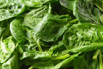Fresh spinach leaves as background