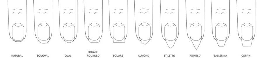Manicure most popular fashion nail shapes flat style vector illustration set isolated on white background. Natural, squoval, oval, square rounded, square, almond, stiletto different shapes guidance. © Konstantin