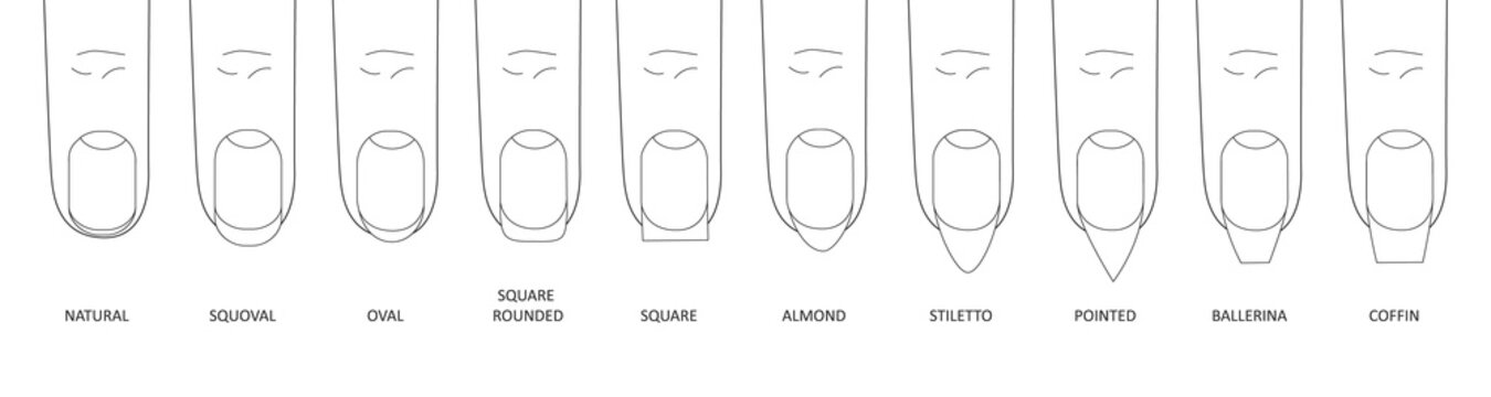 Manicure most popular fashion nail shapes flat style vector illustration set isolated on white background. Natural, squoval, oval, square rounded, square, almond, stiletto different shapes guidance.