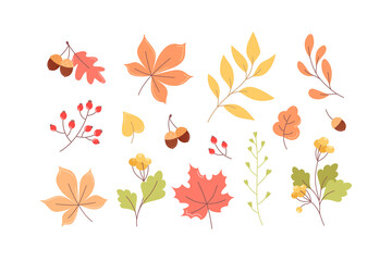 Fototapeta na wymiar Collection of autumn leaves, twigs and berries in cartoon style