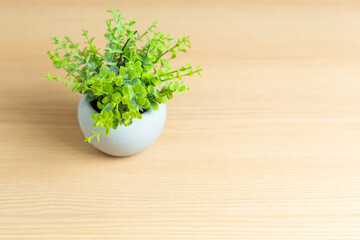 small green artificial plant displayed on the table