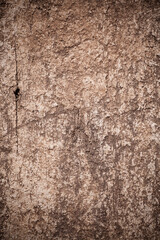 Texture old wood background.