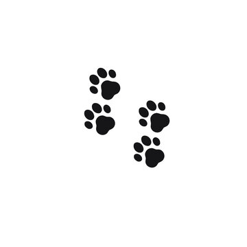 black dog paw illustration for graphic template