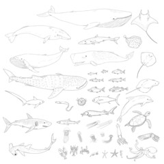 Vector Big Set of Sea Animals Illustrations - obrazy, fototapety, plakaty