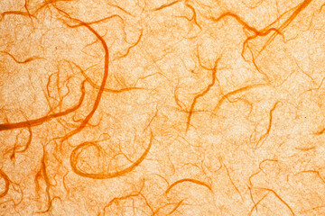 Orange mulberry paper.