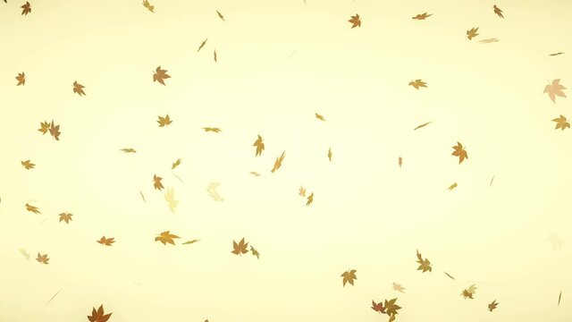 Autumn image loop background material