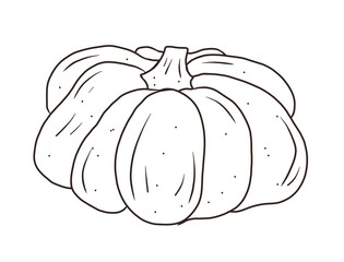 Pumpkin. Hand drawing illustration, isolated, white background