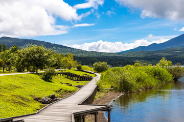 (山梨県ｰ風景)夏の山中湖畔の風景５