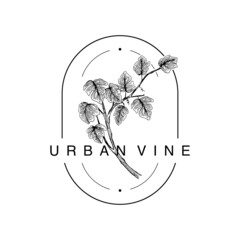 variegate line art minimal feminine logo