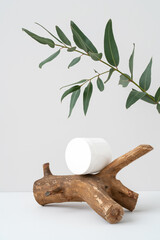 White container for branding on wooden stick podium and eucalyptus branch on grey background. Piece of wood, green leaves and cosmetic mockup. Rough natural snag and beauty product advertising. 