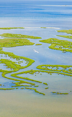 Aerial shooting at natural habitat of flamingos'