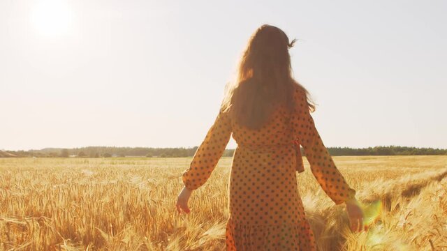 Beautiful young woman walks across the field and touches rye with her hand. Girl in the rays of the sunset. Freedom and happiness.