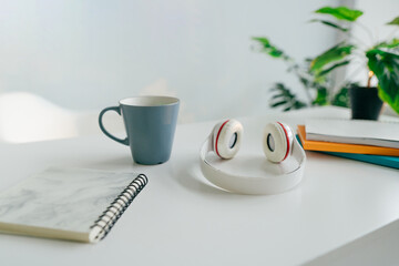 Modern minimal interior of cabinet or workspace