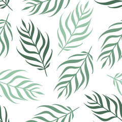 Vector Palm Tree Leaves in Sage Green Color on White seamless pattern background. Perfect for fabric, wallpaper and scrapbooking projects.