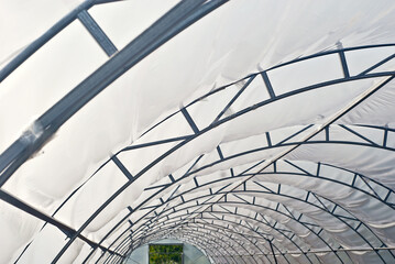 Greenhouse from a metal framework and a polyethylene film. Premises for growing vegetables and seedlings. The greenhouse is stolen by hand.