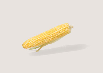 Freshly picked sweet, organic, yellow corn on the cob maize, isolated on pastel beige background. Minimal summer vegetable food scene. Sun and shadow.