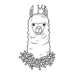 Cute llama with a wreath of flowers and crown on his head. Portrait of a cute animal - coloring book page. Vector illustration isolated on white background.
