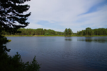 A lake in the forest.