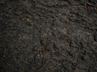 volcanic stone detail texture with relief