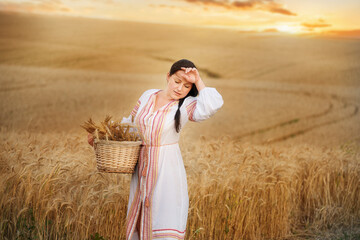 A girl in an embroidered traditional dress in a yellow wheat field at sunset. Traditional Ukrainian...