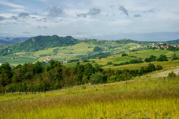 Vineyards on the Tortona hills at springtime
