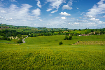 Fototapeta na wymiar Landscape on the Tortona hills at springtime near Sarezzano