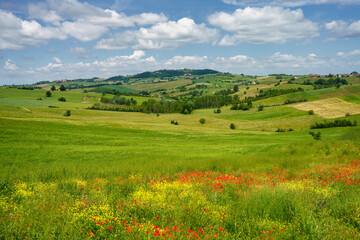 Landscape on the Tortona hills at springtime.