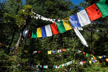 Buddhist prayer flags lunga in McLeod Ganj, Himachal Pradesh, India