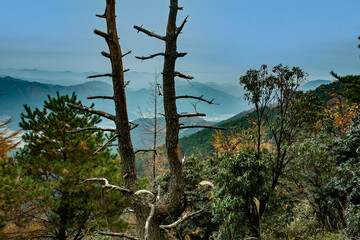 兵庫県多可町・ハイキングウォーキング千ヶ峰