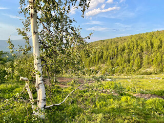 Stone pillars of weathering on the Manpupuner mountain plateau in the Komi Republic in Russia in summer in clear weather