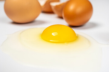 Close-up of raw broken egg showing yellow yolk and transparent white on white background