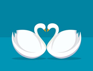 2 swans with heart shape, modern design, post card